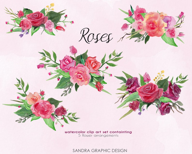 Puede incluir: Conjunto de im&aacute;genes predise&ntilde;adas de acuarela con cinco arreglos florales de rosas en tonos rojos, rosas y melocot&oacute;n, con hojas verdes. La palabra "Roses" est&aacute; escrita en cursiva. El fondo es rosa claro.