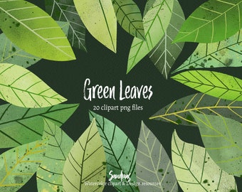 Clip art "Green leaves" procreate, 20 clipart 300 dpi PNG files