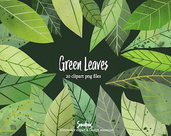 Op de afbeelding: Een illustratie van groene bladeren in verschillende tinten, tegen een donkere achtergrond. De afbeelding bevat de tekst "Green Leaves" en "20 clipart png files". De bladeren hebben gedetailleerde nerven en een aquareleffect, met een design resources logo.