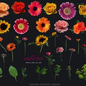 May include: A collection of various flowers, including roses, gerbera daisies, and sunflowers, in shades of orange, red, yellow, and pink, against a dark background. The image also includes green leaves and stems. Text reads "astera floral clip art set".