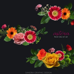 May include: Floral clip art set featuring arrangements of vibrant flowers, including red, orange, and yellow gerbera daisies, roses, and carnations, with green foliage, against a dark background. The text "astera floral clip art set" is displayed.