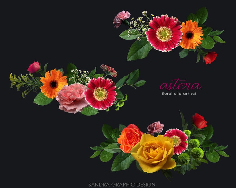 May include: Floral clip art set featuring arrangements of vibrant flowers, including red, orange, and yellow gerbera daisies, roses, and carnations, with green foliage, against a dark background. The text "astera floral clip art set" is displayed.