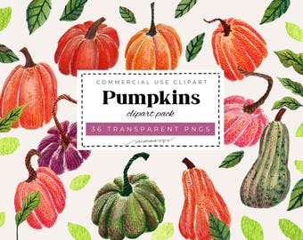 Pumpkins Watercolor Clipart Set | 36 PNG Files | Hand-Painted Pumpkin Illustrations | Orange Green Purple Fall Clipart | Commercial Use