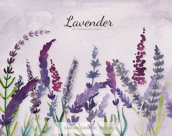 Lavender clip art, floral clip art, hand painted watercolor clip art, 28 PNG files