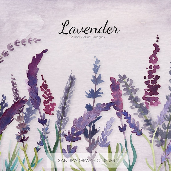 Lavender clip art, floral clip art, hand painted watercolor clip art, 28 PNG files