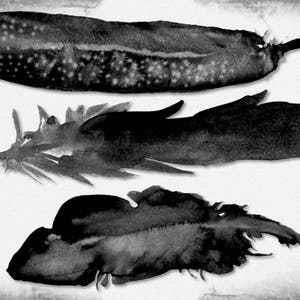 May include: A monochrome watercolour painting featuring three feathers. The top feather is long and speckled, the middle one has a central quill, and the bottom one is rounded. The artist's signature is in the bottom right corner.