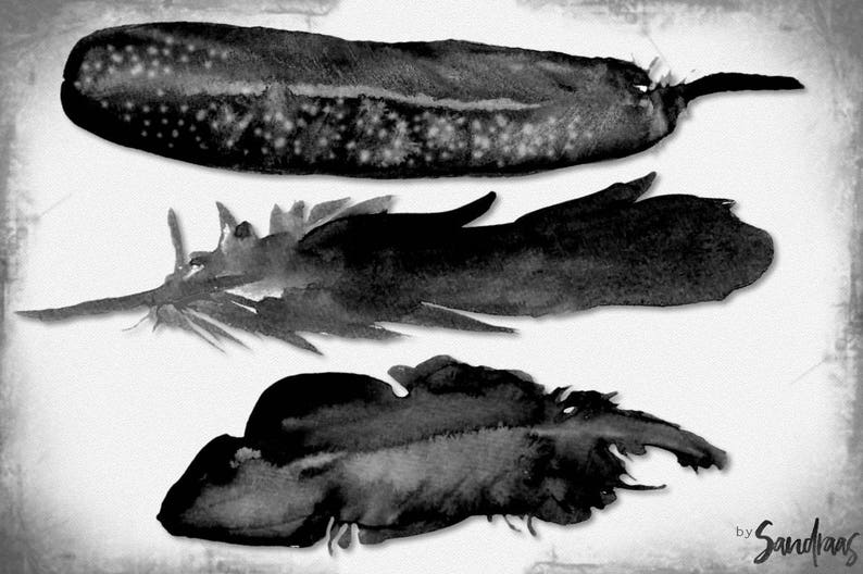May include: A monochrome watercolour painting featuring three feathers. The top feather is long and speckled, the middle one has a central quill, and the bottom one is rounded. The artist's signature is in the bottom right corner.