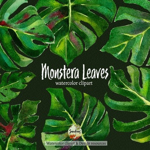 Clip art "Monstera Deliciosa bladeren" met waterverf geschilderd, 11 clipart 300 dpi PNG bestanden