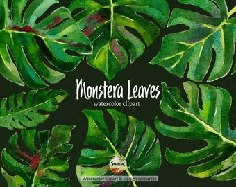 Clip art "Monstera Deliciosa leaves" painted with watercolor, 11 clipart 300 dpi PNG files