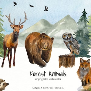 Clipart « FOREST ANIMALS » peint à la main dans diverses variantes, 27 clipart 300 dpi fichiers PNG