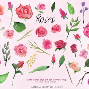 Puede incluir: Conjunto de im&aacute;genes predise&ntilde;adas de acuarela con varias rosas rosas y rojas, capullos y hojas verdes. La palabra "Roses" est&aacute; escrita en cursiva. El conjunto contiene 40 im&aacute;genes individuales. "SANDRA GRAPHIC DESIGN" est&aacute; escrito en la parte inferior.