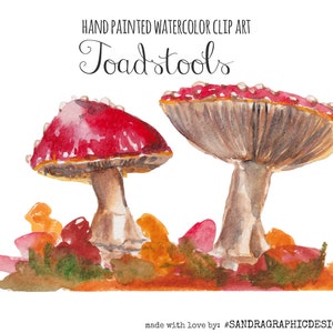 Peint à la main de « champignon » clipart images automne champignons, 10 300 dpi clipart de fichiers PNG (5158)