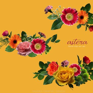 May include: Floral clip art set featuring arrangements of red, orange, pink, and yellow flowers with green leaves. The text "astera floral clip art set" is displayed in a cursive font on a yellow background. The design includes roses, gerbera daisies, and carnations.