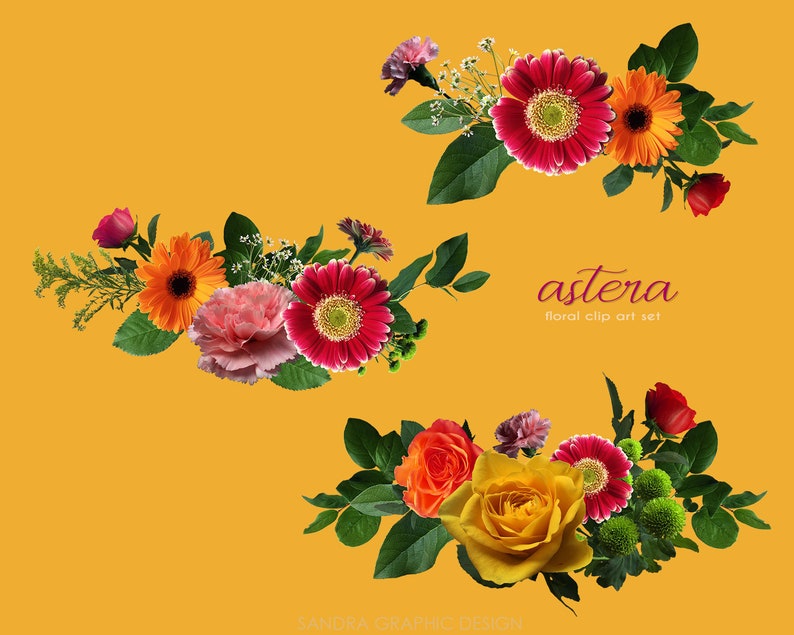 May include: Floral clip art set featuring arrangements of red, orange, pink, and yellow flowers with green leaves. The text "astera floral clip art set" is displayed in a cursive font on a yellow background. The design includes roses, gerbera daisies, and carnations.