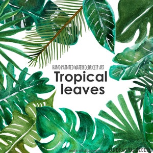 Tropical clip art: &quot;TROPICAL LEAF clip art&quot;  hand painted watercolor clip art, digital flowers, palm leaves 12 PNG  files (5238)