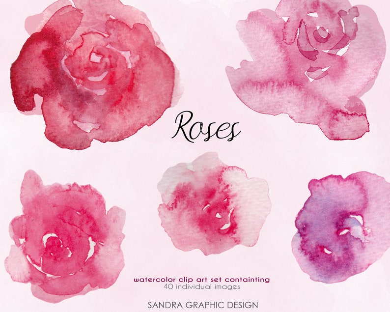 Puede incluir: Conjunto de im&aacute;genes predise&ntilde;adas de acuarela con cinco rosas en tonos rosa y rojo. La palabra "Roses" est&aacute; escrita en cursiva. El conjunto contiene 40 im&aacute;genes individuales. El nombre del artista es Sandra Graphic Design.
