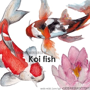 May include: Watercolor illustration featuring two koi fish with red, white, and black markings, and a pink lotus flower. The text "Koi fish" is displayed below the fish. The artwork is labeled "Hand painted watercolor clip art."