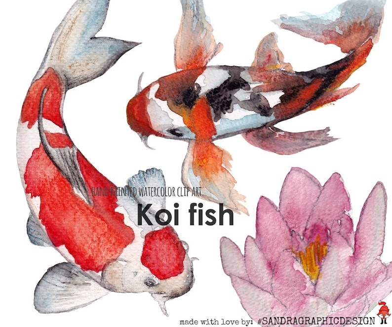 May include: Watercolor illustration featuring two koi fish with red, white, and black markings, and a pink lotus flower. The text "Koi fish" is displayed below the fish. The artwork is labeled "Hand painted watercolor clip art."