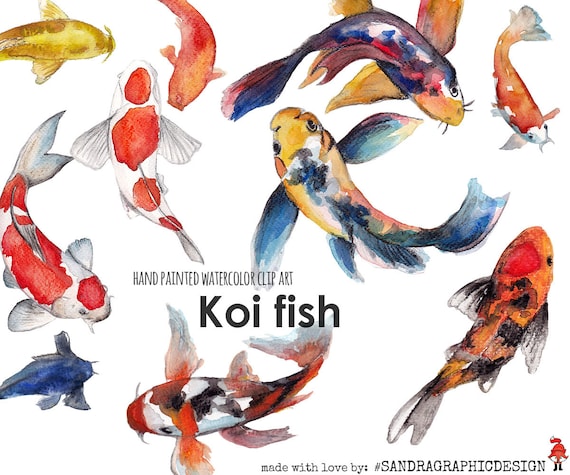 Clip art "koi karpers" hand geverfd, clipart 300 dpi PNG bestanden