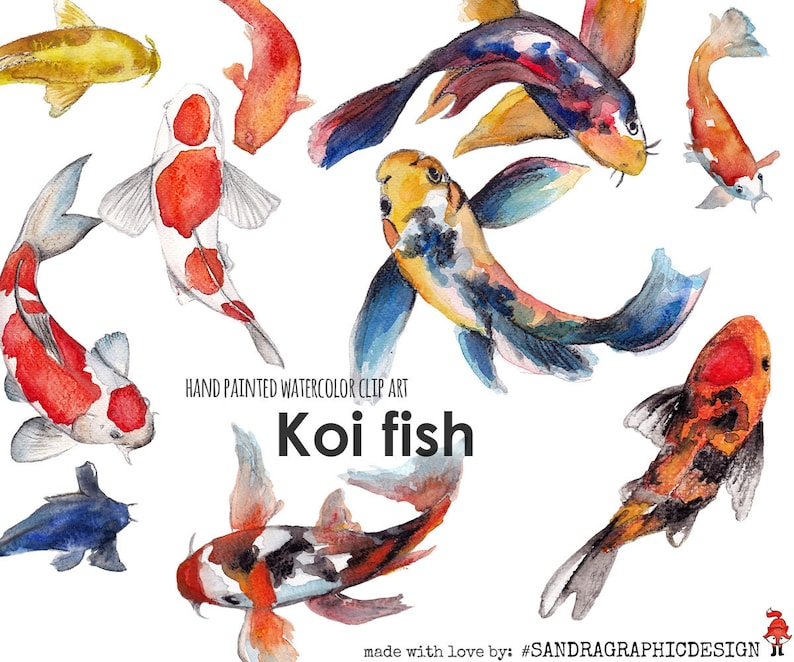 May include: Watercolor clip art of koi fish in various poses. The fish are painted in shades of orange, red, yellow, blue, and black. The text "Koi fish" is displayed below the fish.