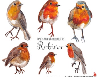 Watercolor Robin Clipart Set – Hand Painted Bird PNG Bundle, Cute Red Robin Illustrations, Nature Wildlife Clip Art, 6 Images