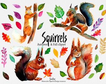 Clipart "Squirrels" handgeverfd, 4 squirrels clipart & 33 leafs 300 dpi PNG bestanden