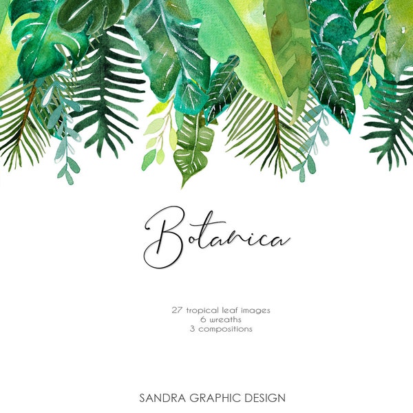 Watercolor clip art set Botanica with tropical leaves