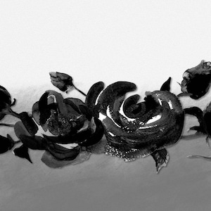 May include: Black and white watercolor painting of a floral arrangement. The artwork features several dark roses with detailed petals and buds, arranged on a stem. The background is a soft, gradient wash.
