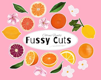 Citrus Fruit Fussy Cuts Printable | Watercolor Citrus Ephemera for Junk Journal & Scrapbooking | Digital Download A4