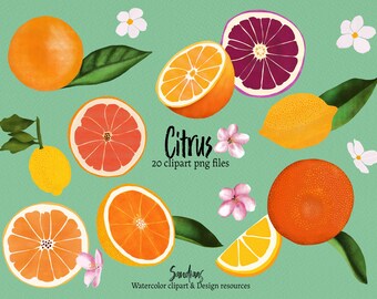 Citrus clip art met Procreate geverfde clip art plaatjes voor kaarten maken, scrapbooken