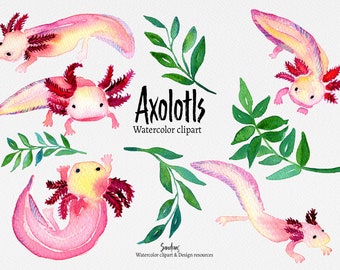 Clipart "AXOLOTL" hand geverfd