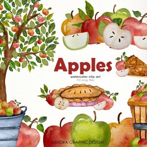 Clipart "Appels" hand geverfd met veel leuke plaatjes, 43 clipart 300 dpi PNG bestanden