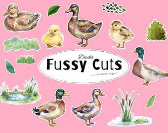 Duck Fussy Cuts Printable | Watercolor Duck Ephemera for Junk Journal & Scrapbooking | Printable Duck Stickers | Digital Download A4