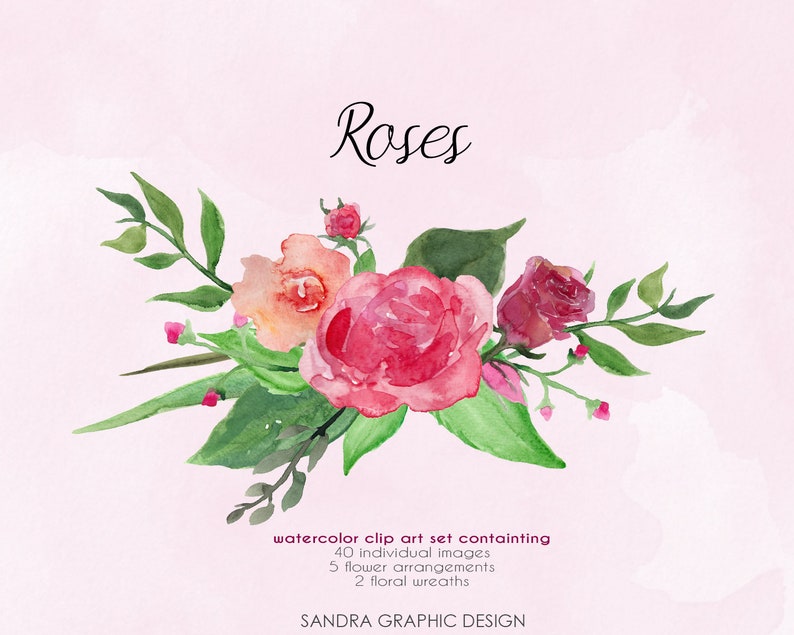 Puede incluir: Ilustraci&oacute;n en acuarela de rosas en tonos rosa, melocot&oacute;n y rojo, con hojas verdes y peque&ntilde;os capullos rosas. La palabra "Roses" est&aacute; escrita encima del arreglo floral. La imagen tambi&eacute;n contiene el texto "watercolor clip art set containing 40 individual images, 5 flower arrangements, 2 floral wreaths, SANDRA GRAPHIC DESIGN."