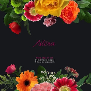 ClipArt "Blumen" Foto-Clip-Art, 38 Clipart 300 dpi PNG-Dateien