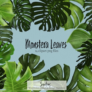 Clip art "Monstera Deliciosa bladeren" in Procreate geschilderd, 14 clipart 300 dpi PNG bestanden