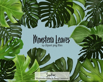 Clip art "Monstera Deliciosa bladeren" in Procreate geschilderd, 14 clipart 300 dpi PNG bestanden