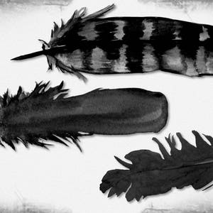 May include: A monochrome watercolour illustration featuring three feathers. One is striped, the others are solid black. The artwork is set against a textured, off-white backdrop. The artist's signature, "by Sandians," is in the bottom right corner.