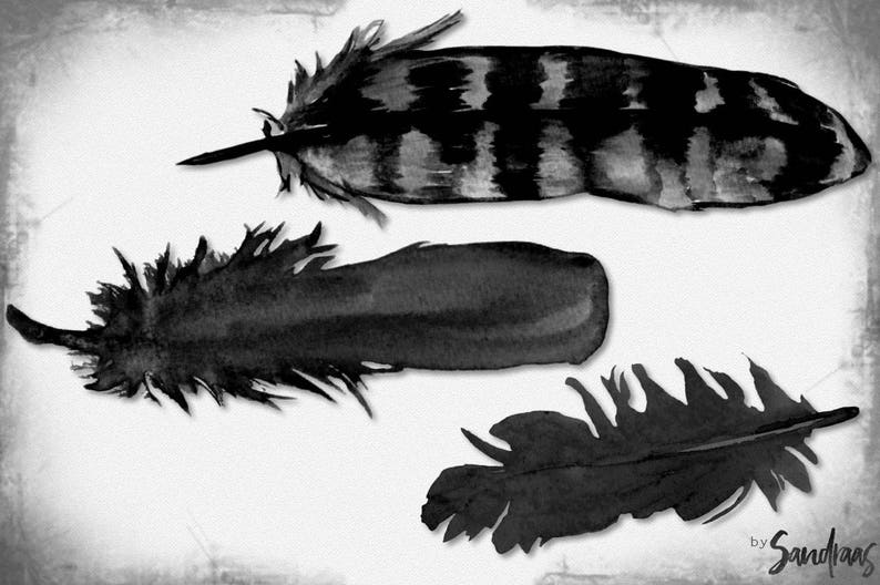 May include: A monochrome watercolour illustration featuring three feathers. One is striped, the others are solid black. The artwork is set against a textured, off-white backdrop. The artist's signature, "by Sandians," is in the bottom right corner.