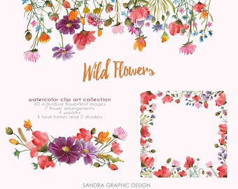Wild flowers clip art, hand painted watercolor clip art, digital flowers, poppies 57 PNG  files