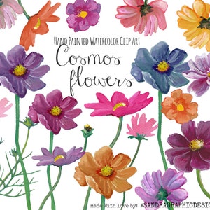 Clip art: &quot;COSMOS FLOWERS&quot;  hand painted watercolor flowers, 18 clipart 300 dpi PNG  files (5098)
