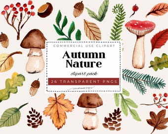 Autumn Nature Watercolor Clipart Set | 26 PNG Files | Fall Nature Illustrations | Mushrooms, Pinecones, Acorns, Leaves | Commercial Use