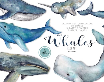 Whale clip art, watercolor whales painted by hand, ocean clip art,  21 clipart 300 dpi PNG files