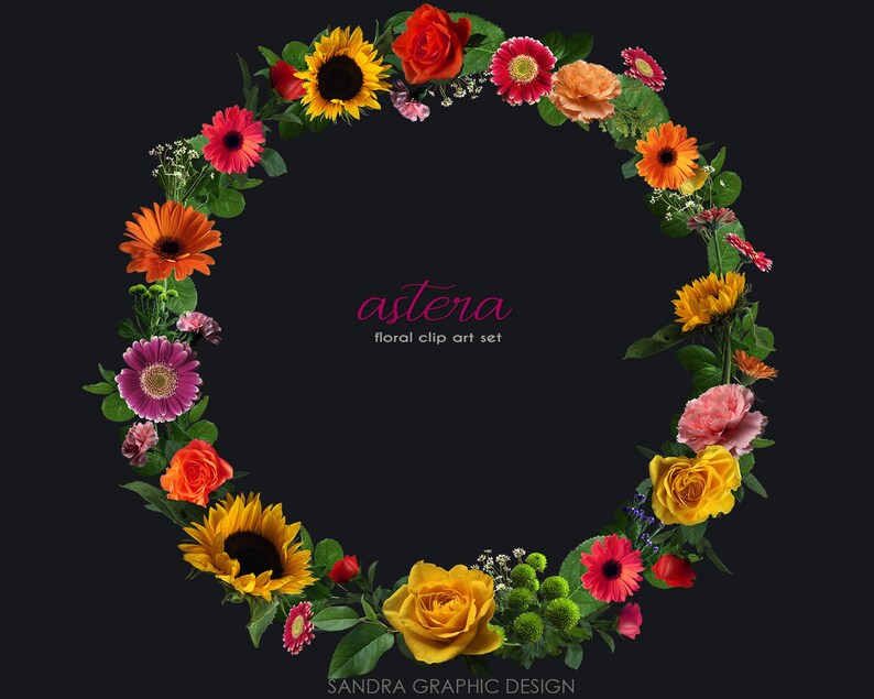 May include: A floral wreath with a variety of colorful flowers, including sunflowers, roses, and gerbera daisies, arranged in a circular shape against a black background. The text "astera floral clip art set" is displayed in pink.