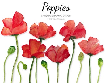 Poppies clip art, hand painted flowers,  11 PNG  files, 300 dpi