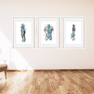 NIEUW! Teal set van 3 spierstelsel-massage therapie decor, LMT of RMT, chiropractor, digitale anatomie kunst afdrukbare, spieren