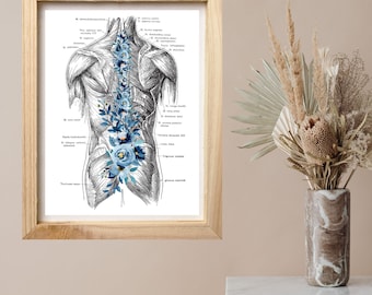 Muscular System Art -Massage Therapy Decor, LMT, Massage Therapist, RMT, Chiropractor, Digital Anatomy Art Printable, Back Muscles