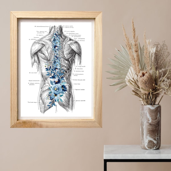 Muscular System Art -Massage Therapy Decor, LMT, Massage Therapist, RMT, Chiropractor, Digital Anatomy Art Printable, Back Muscles