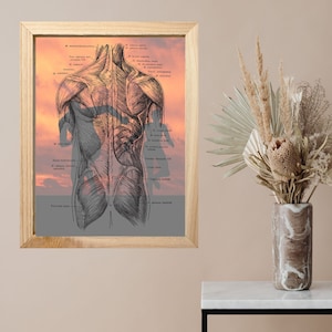 Muscular System Art - Athletic Runner, LMT, Massage Therapist, RMT, Chiropractor, Digital Anatomy Art Printable, Back Muscles