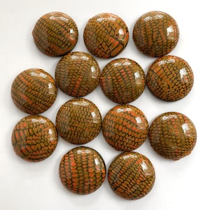 以下が含まれることがあります： 蛇の皮の模様が刻まれた、オレンジと茶色の丸い装飾ボタンが13個集まったセットです。